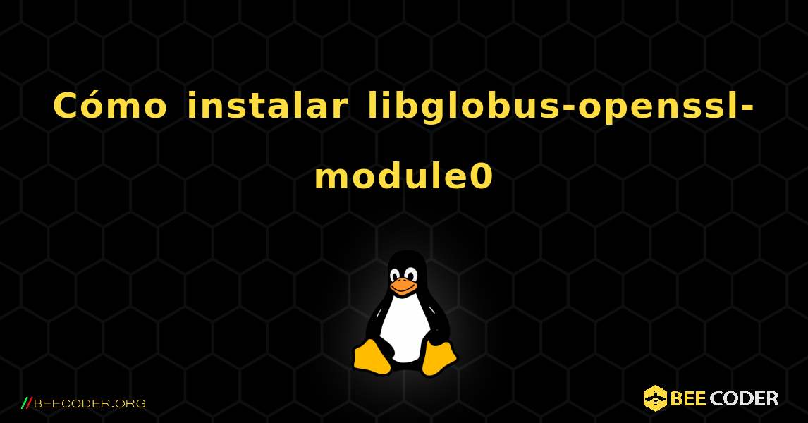 Cómo instalar libglobus-openssl-module0 . Linux