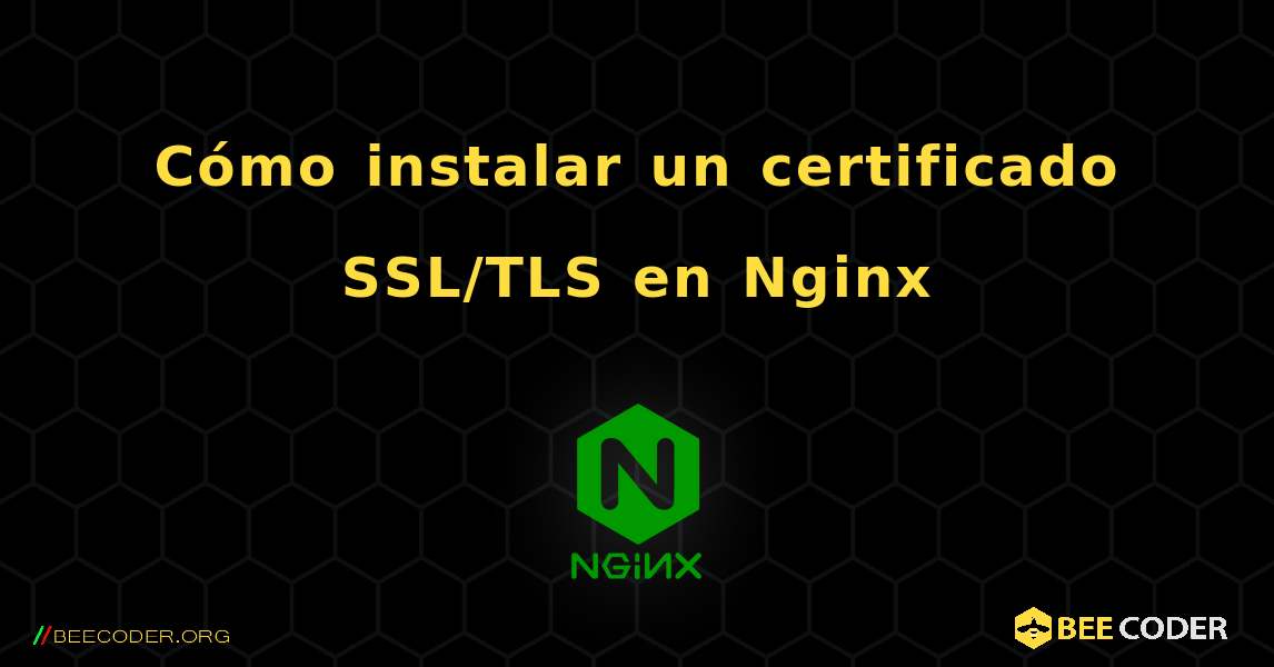 Cómo instalar un certificado SSL/TLS en Nginx. NGINX