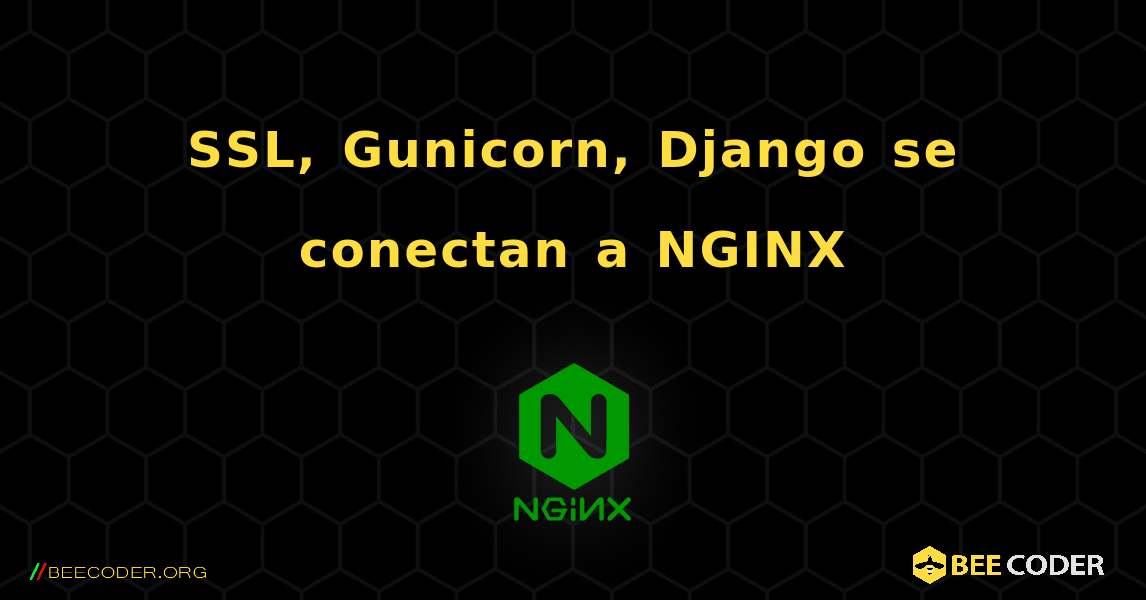 SSL, Gunicorn, Django se conectan a NGINX. NGINX
