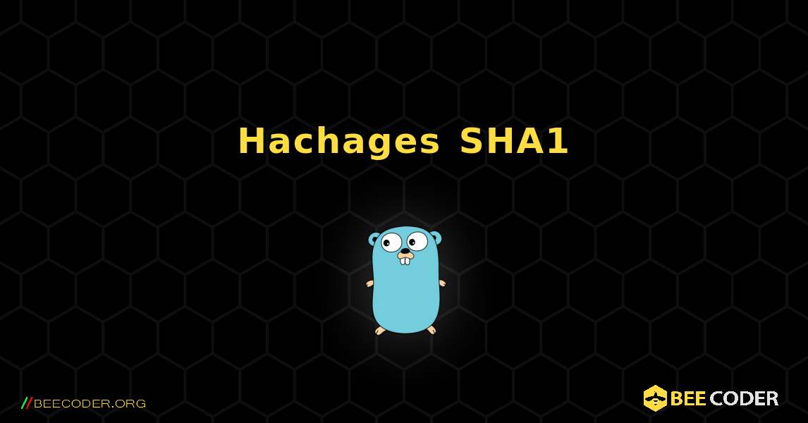 Hachages SHA1. GoLang