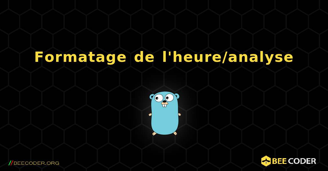 Formatage de l'heure/analyse. GoLang