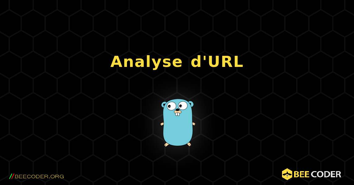 Analyse d'URL. GoLang