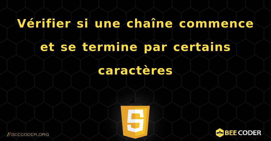 Vérifier si une chaîne commence et se termine par certains caractères. JavaScript