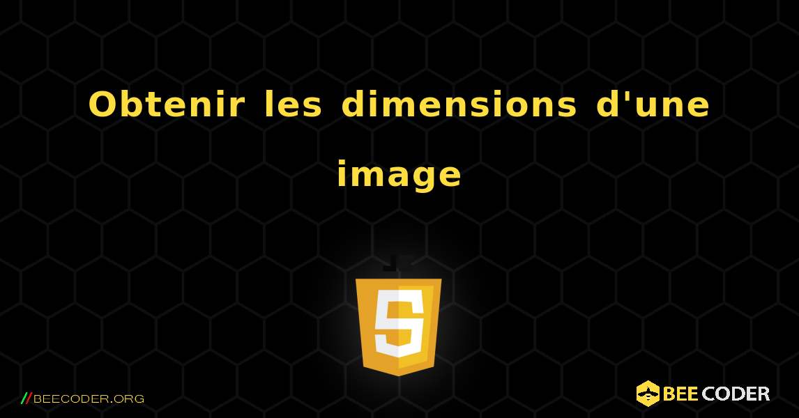 Obtenir les dimensions d'une image. JavaScript