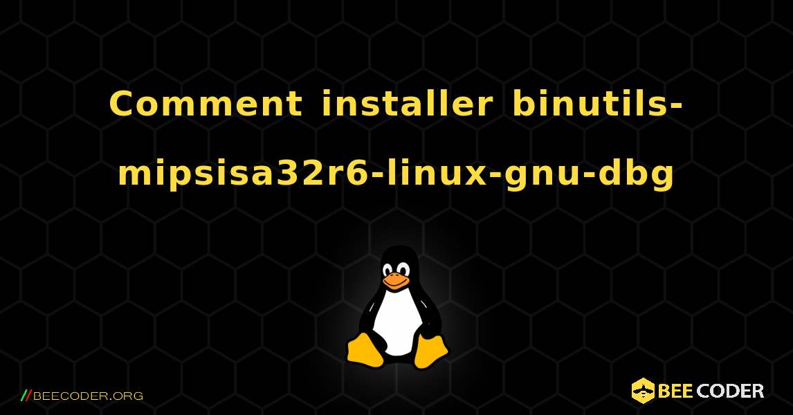 Comment installer binutils-mipsisa32r6-linux-gnu-dbg . Linux