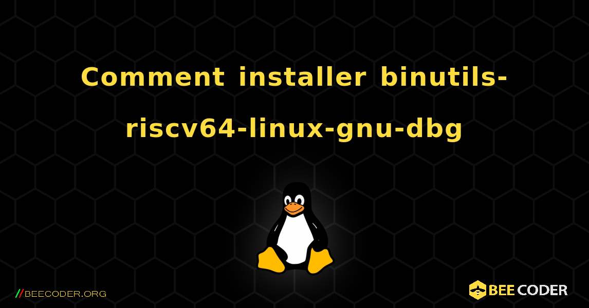 Comment installer binutils-riscv64-linux-gnu-dbg . Linux