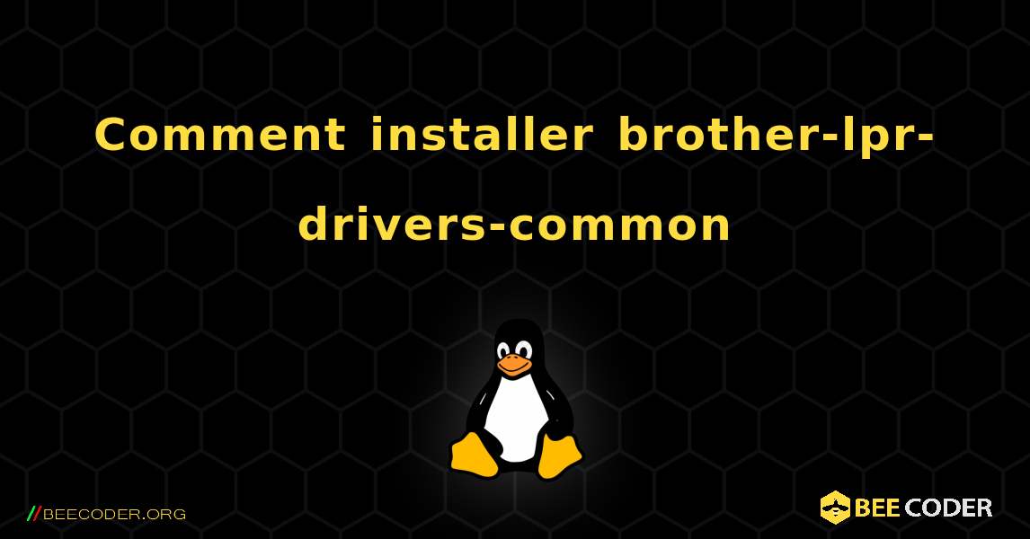 Comment installer brother-lpr-drivers-common . Linux