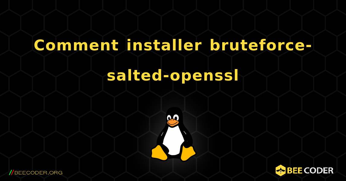 Comment installer bruteforce-salted-openssl . Linux