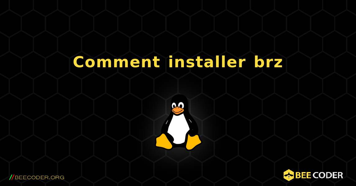 Comment installer brz . Linux