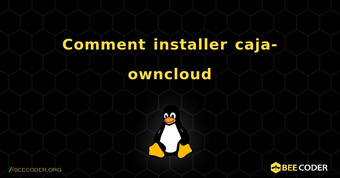 Comment installer caja-owncloud . Linux