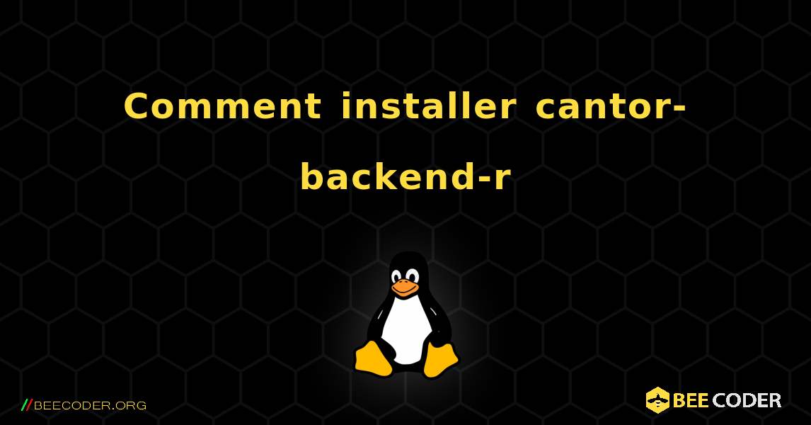 Comment installer cantor-backend-r . Linux
