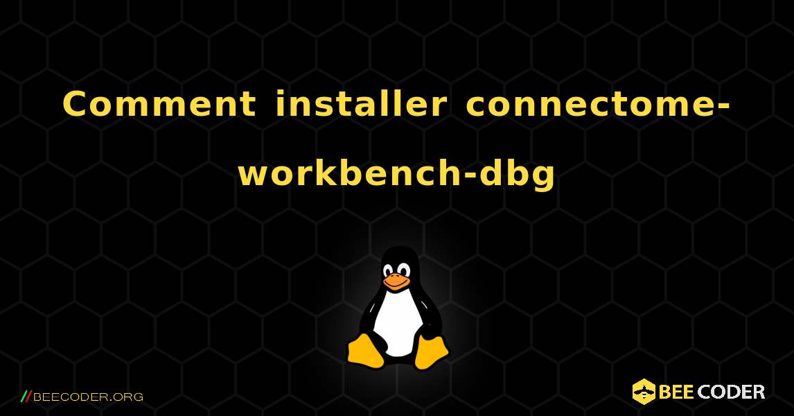 Comment installer connectome-workbench-dbg . Linux