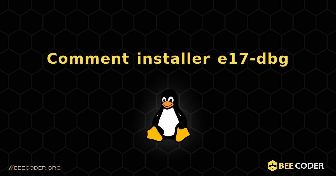 Comment installer e17-dbg . Linux