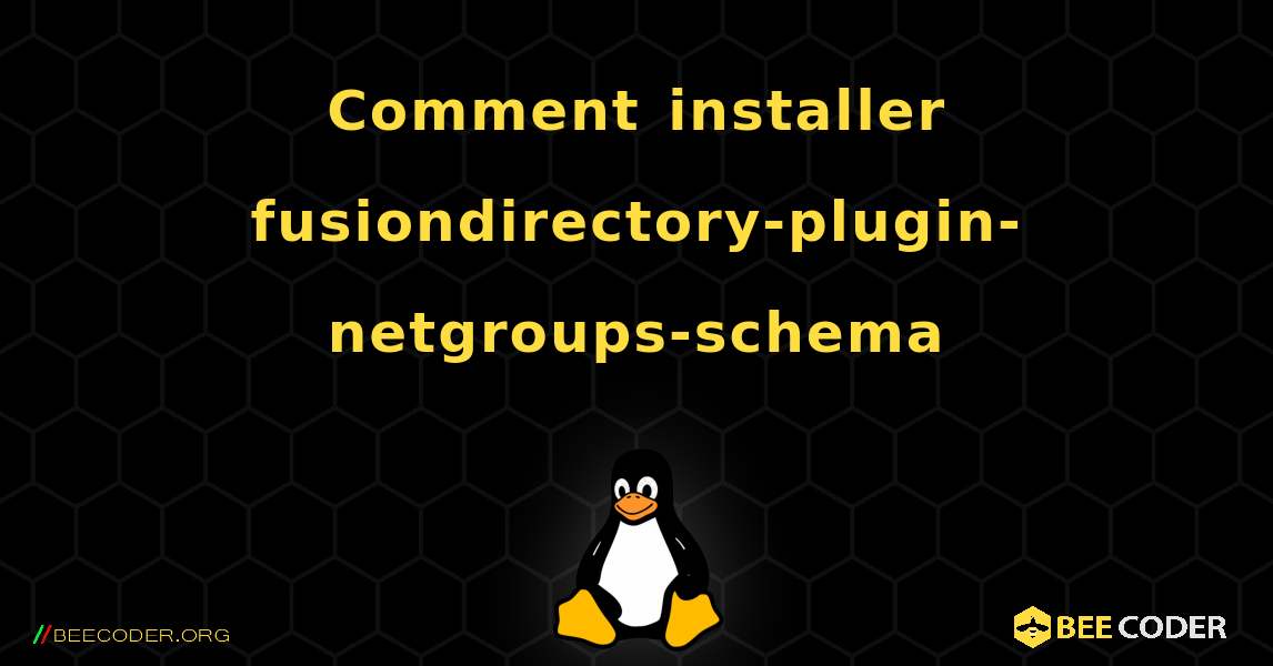 Comment installer fusiondirectory-plugin-netgroups-schema . Linux