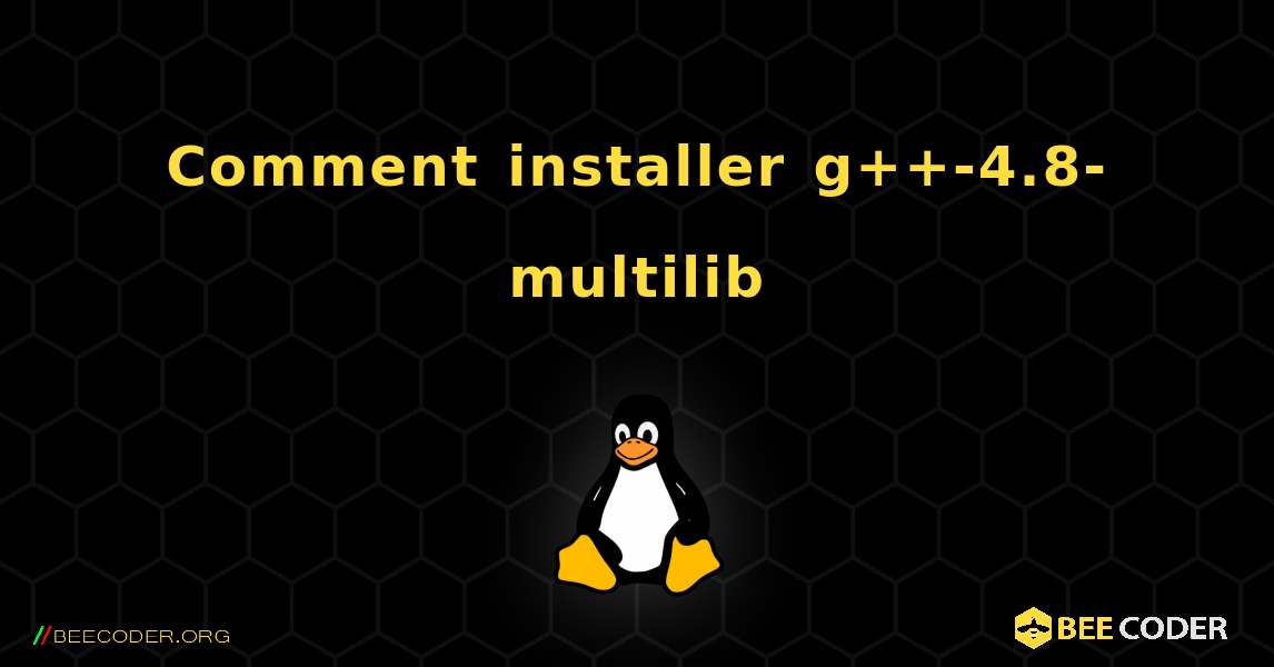 Comment installer g++-4.8-multilib . Linux