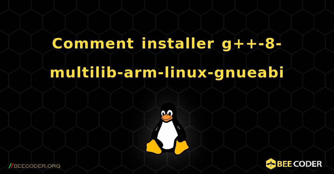Comment installer g++-8-multilib-arm-linux-gnueabi . Linux