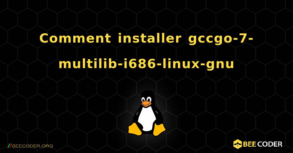 Comment installer gccgo-7-multilib-i686-linux-gnu . Linux