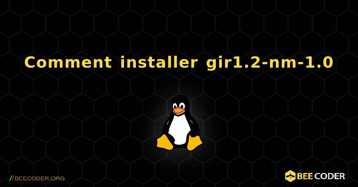 Comment installer gir1.2-nm-1.0 . Linux