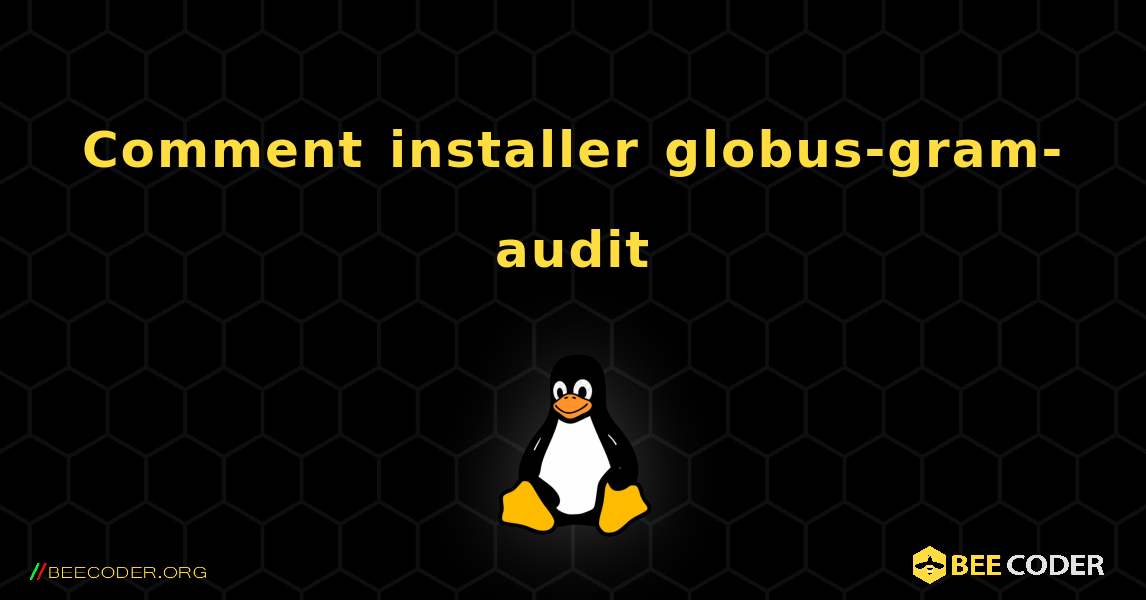 Comment installer globus-gram-audit . Linux