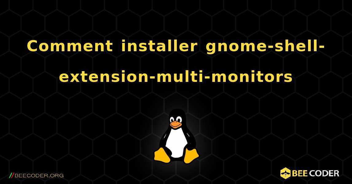 Comment installer gnome-shell-extension-multi-monitors . Linux