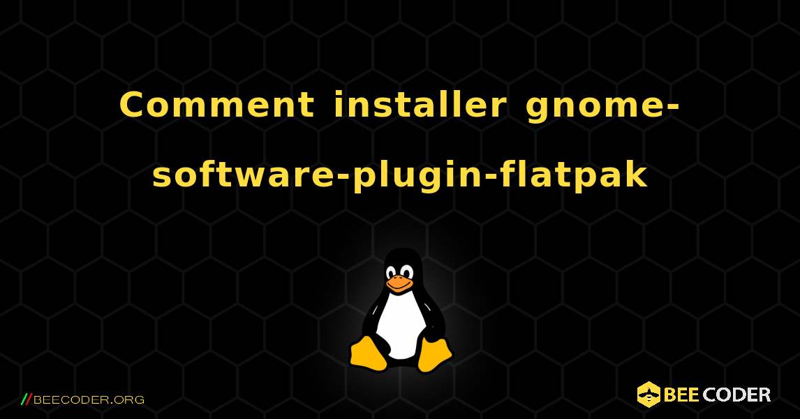 Comment installer gnome-software-plugin-flatpak . Linux