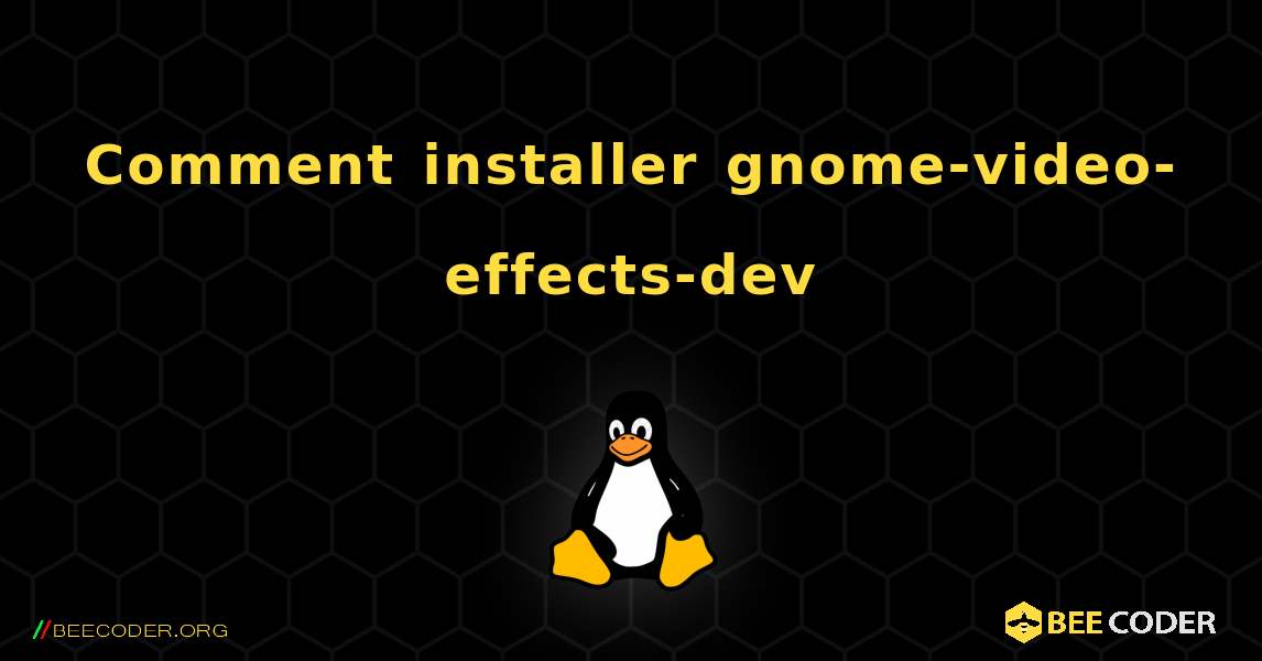 Comment installer gnome-video-effects-dev . Linux