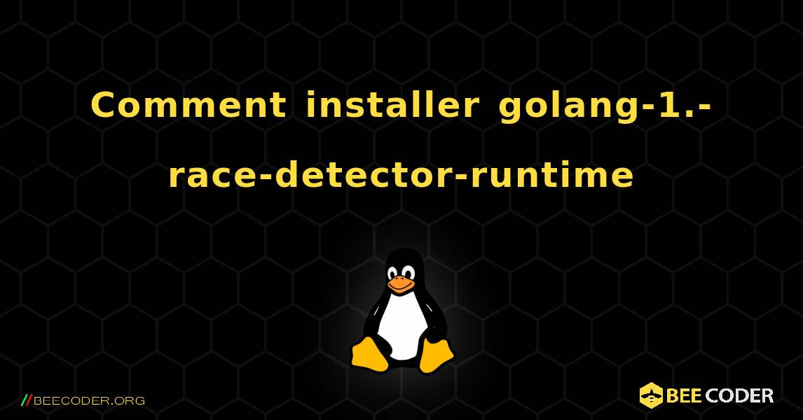 Comment installer golang-1.-race-detector-runtime . Linux