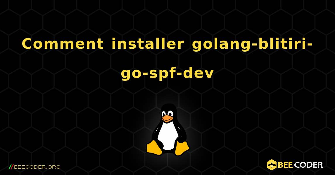 Comment installer golang-blitiri-go-spf-dev . Linux