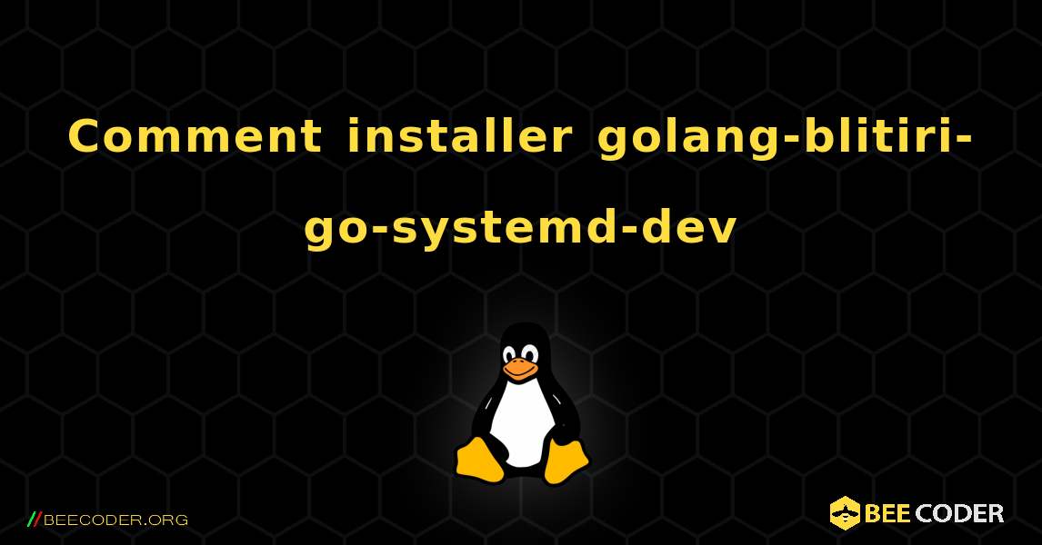 Comment installer golang-blitiri-go-systemd-dev . Linux