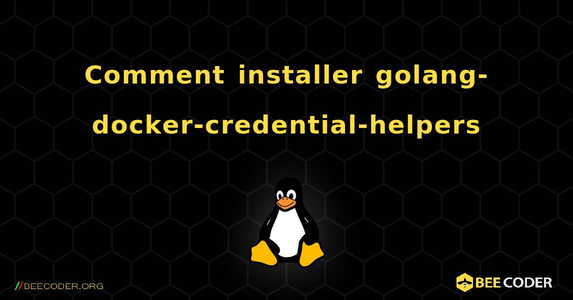 Comment installer golang-docker-credential-helpers . Linux