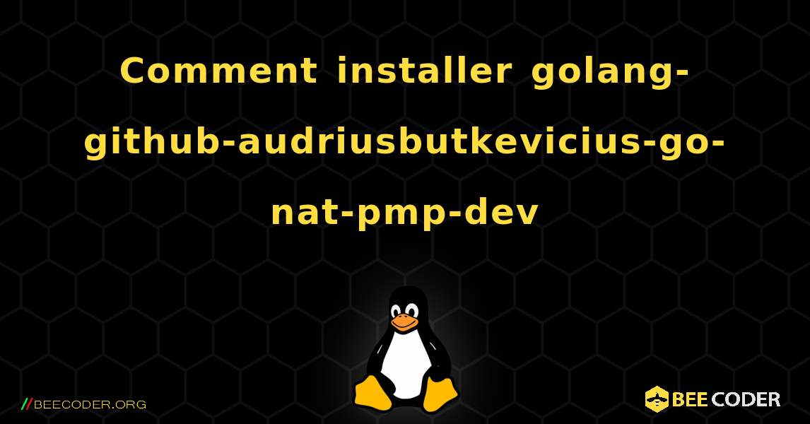 Comment installer golang-github-audriusbutkevicius-go-nat-pmp-dev . Linux