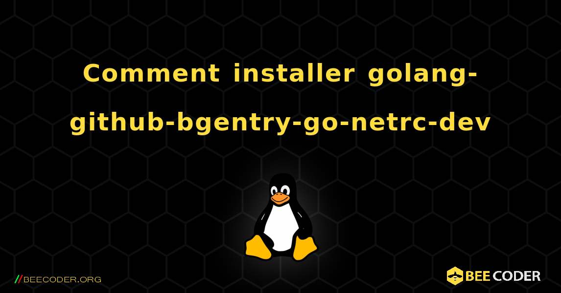 Comment installer golang-github-bgentry-go-netrc-dev . Linux