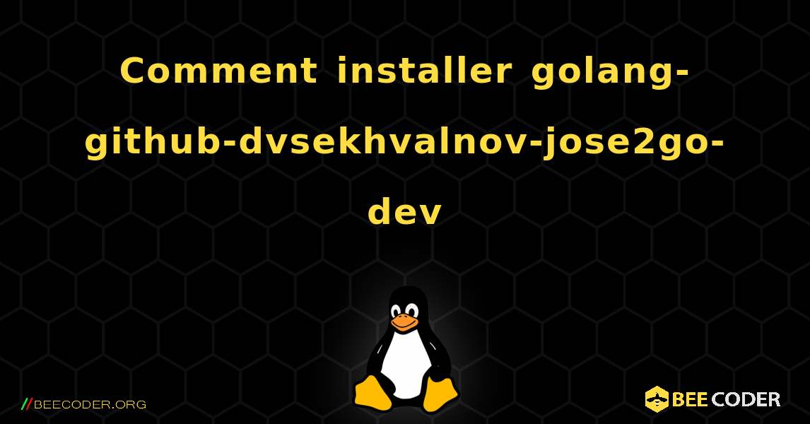 Comment installer golang-github-dvsekhvalnov-jose2go-dev . Linux