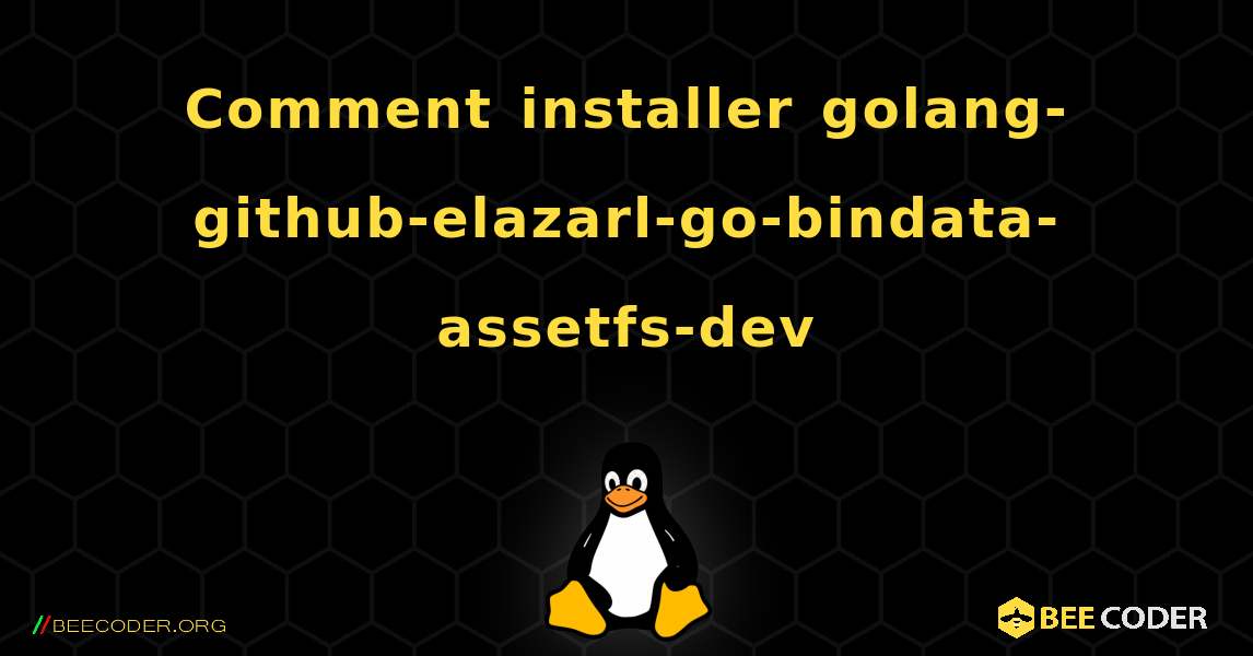 Comment installer golang-github-elazarl-go-bindata-assetfs-dev . Linux