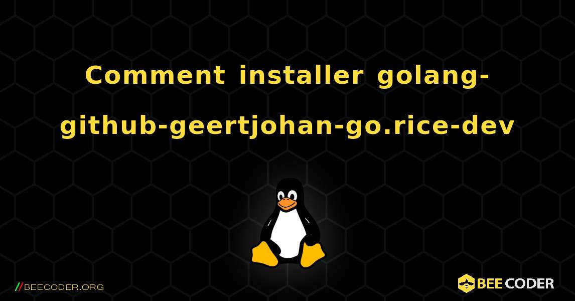 Comment installer golang-github-geertjohan-go.rice-dev . Linux