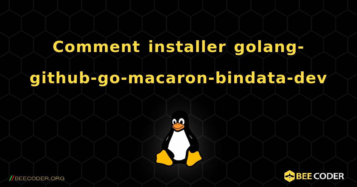 Comment installer golang-github-go-macaron-bindata-dev . Linux