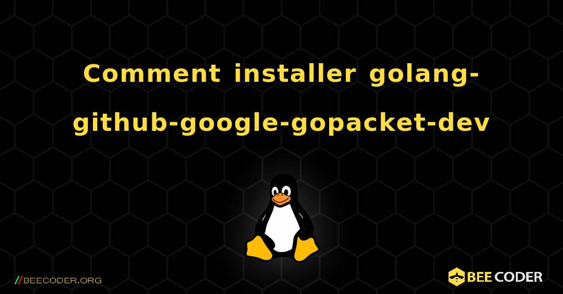 Comment installer golang-github-google-gopacket-dev . Linux