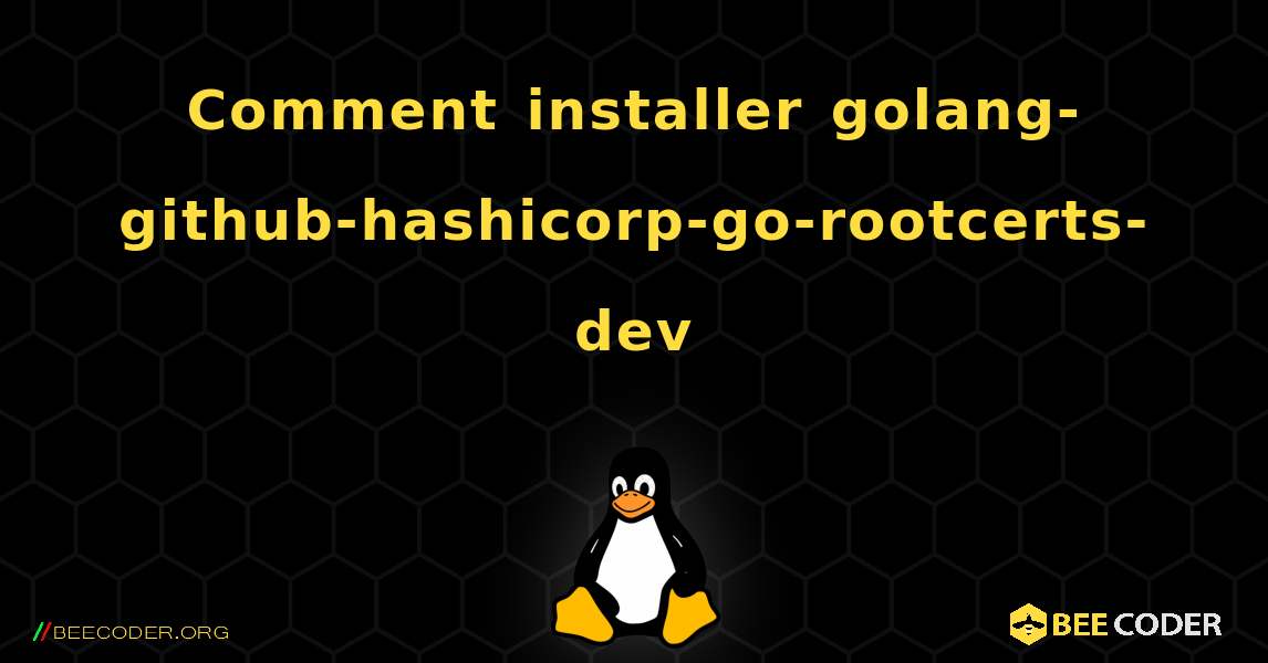 Comment installer golang-github-hashicorp-go-rootcerts-dev . Linux