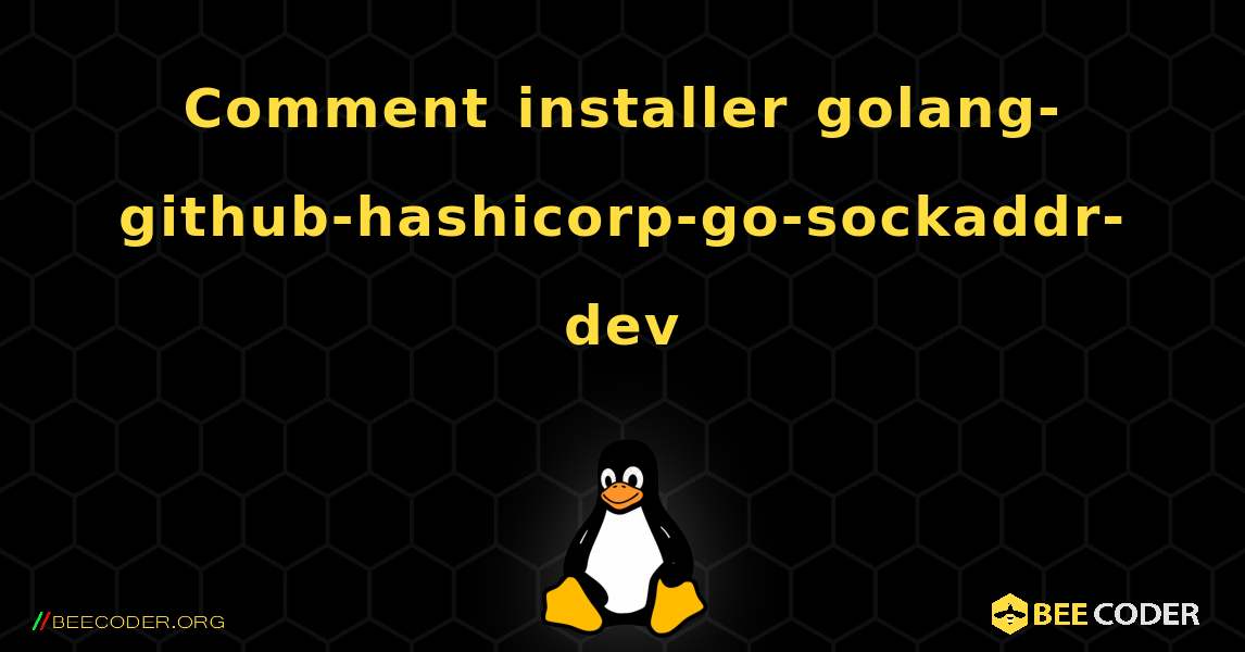 Comment installer golang-github-hashicorp-go-sockaddr-dev . Linux