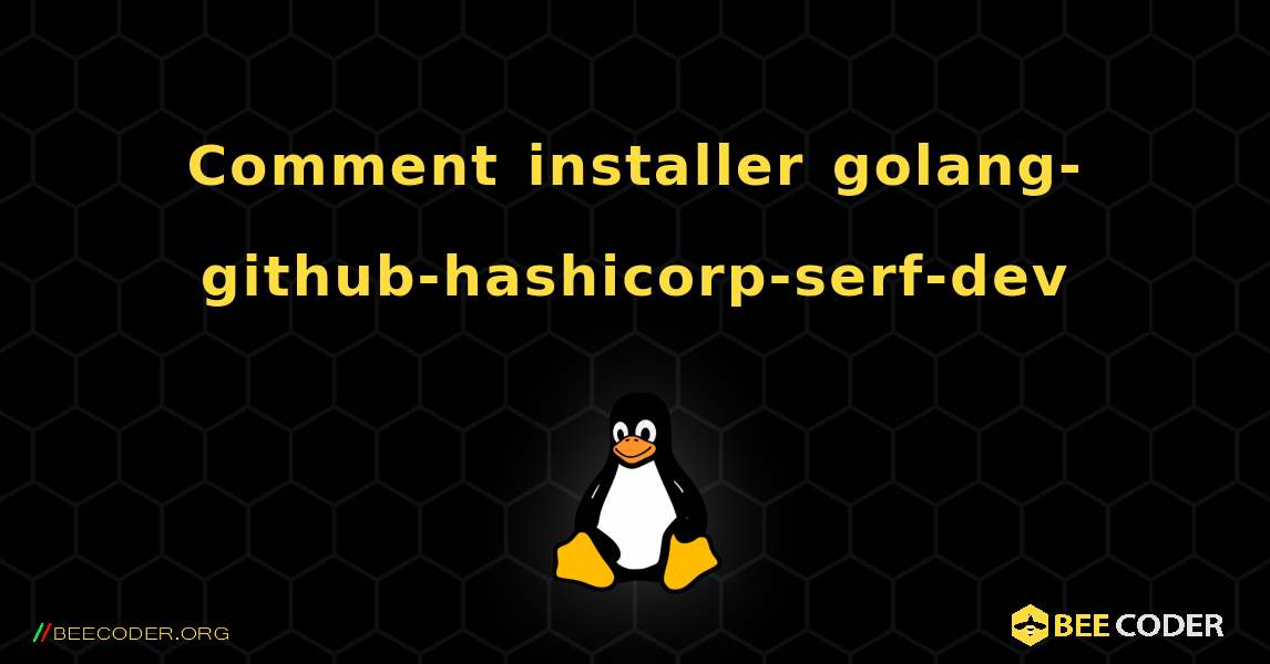 Comment installer golang-github-hashicorp-serf-dev . Linux