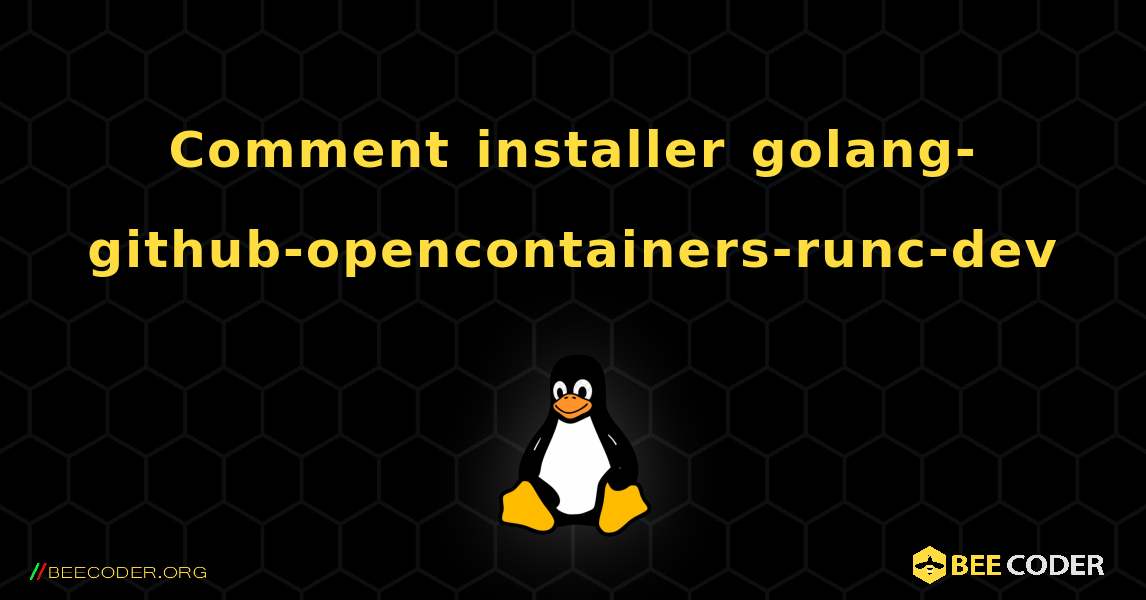 Comment installer golang-github-opencontainers-runc-dev . Linux