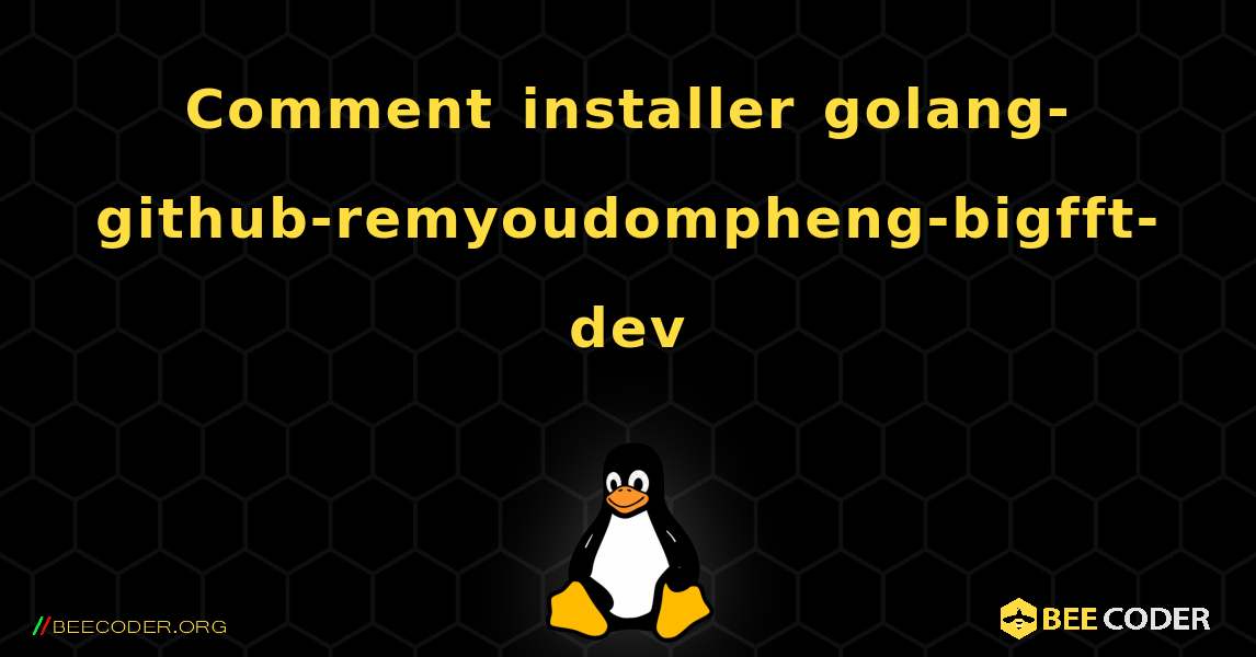 Comment installer golang-github-remyoudompheng-bigfft-dev . Linux