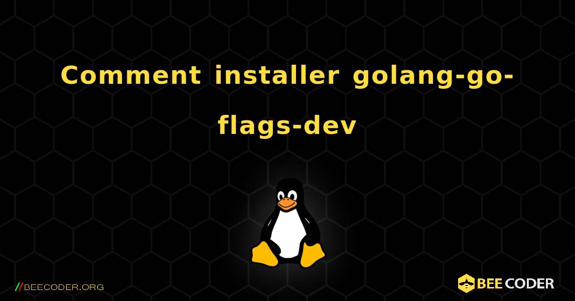 Comment installer golang-go-flags-dev . Linux