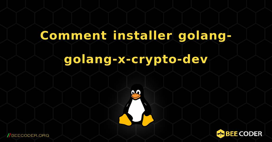 Comment installer golang-golang-x-crypto-dev . Linux