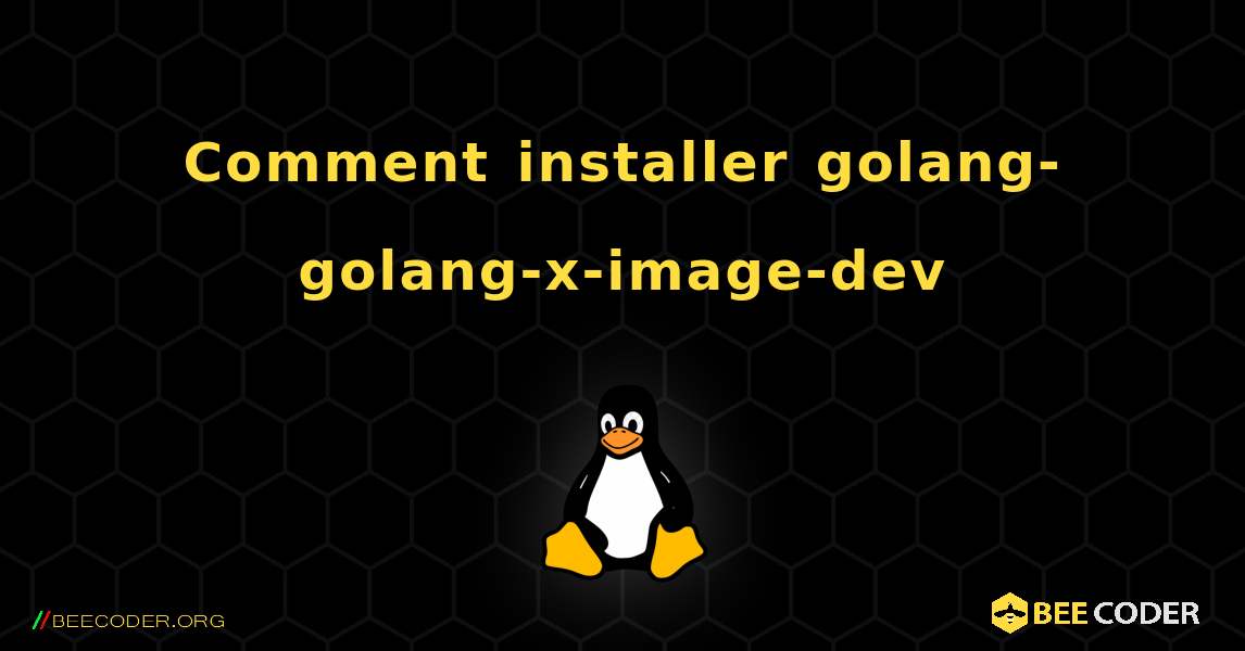 Comment installer golang-golang-x-image-dev . Linux