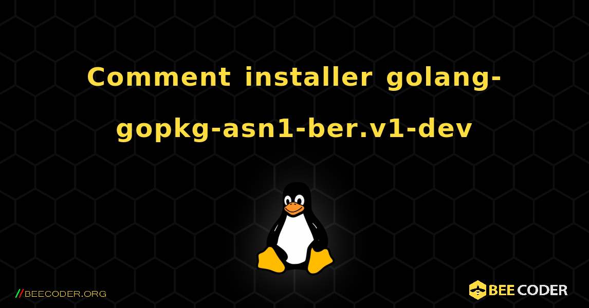 Comment installer golang-gopkg-asn1-ber.v1-dev . Linux