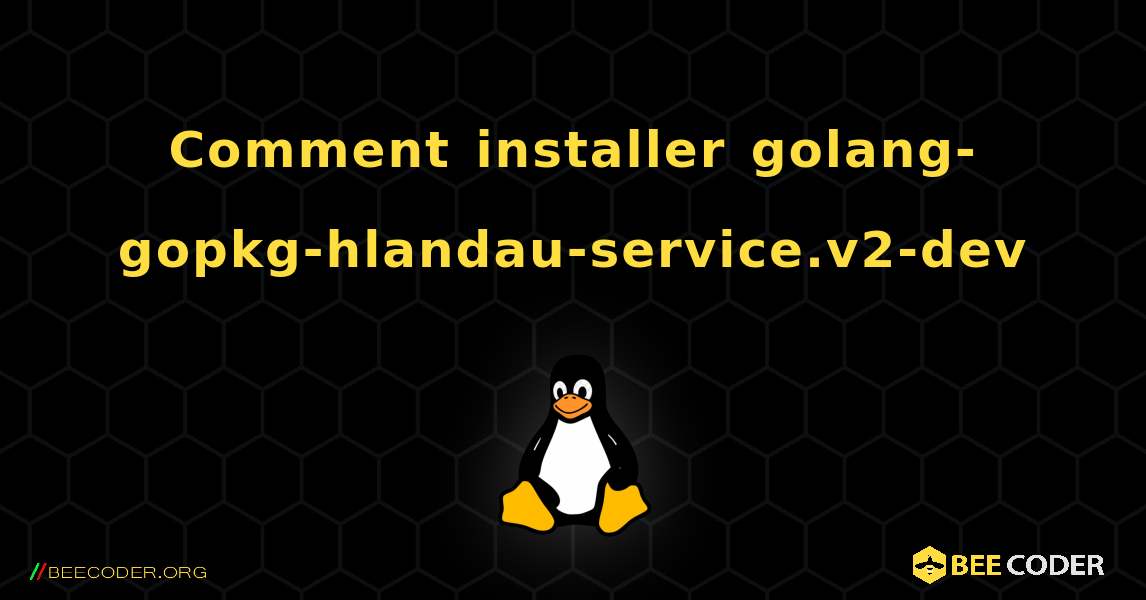 Comment installer golang-gopkg-hlandau-service.v2-dev . Linux
