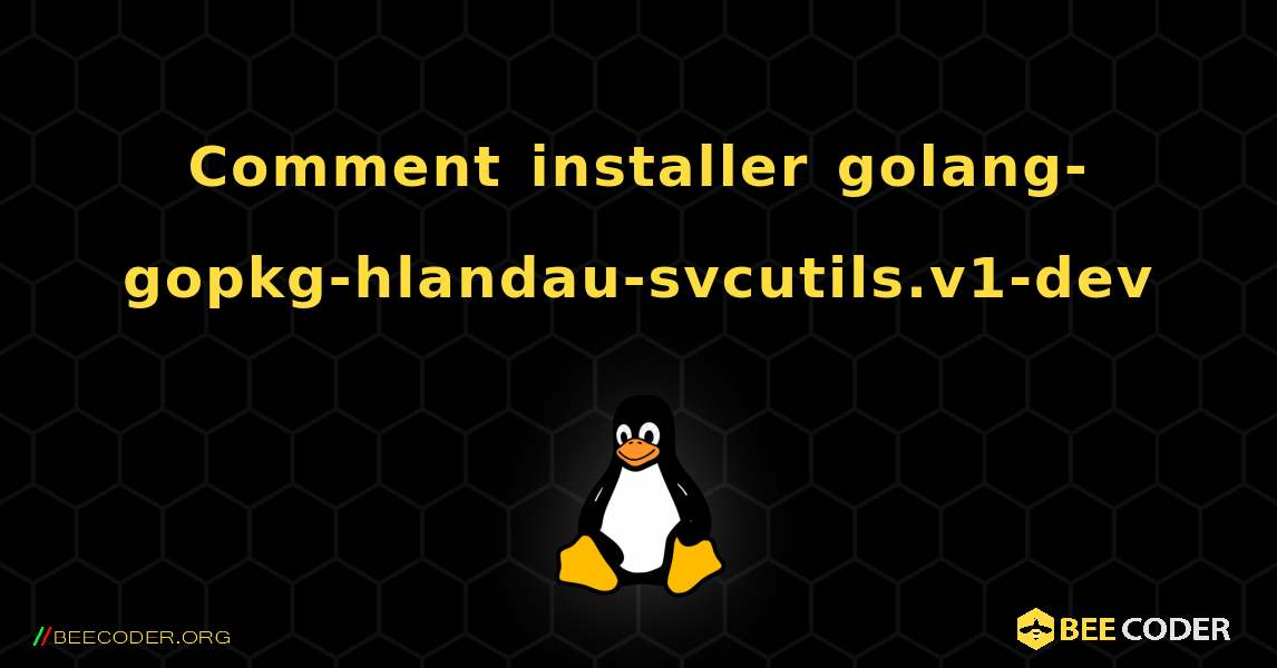 Comment installer golang-gopkg-hlandau-svcutils.v1-dev . Linux