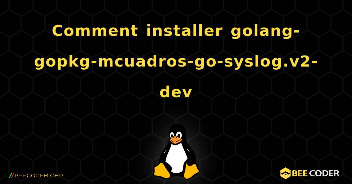 Comment installer golang-gopkg-mcuadros-go-syslog.v2-dev . Linux