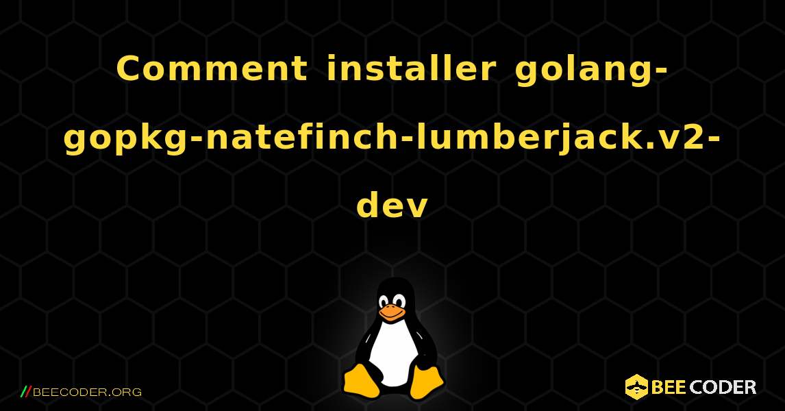 Comment installer golang-gopkg-natefinch-lumberjack.v2-dev . Linux